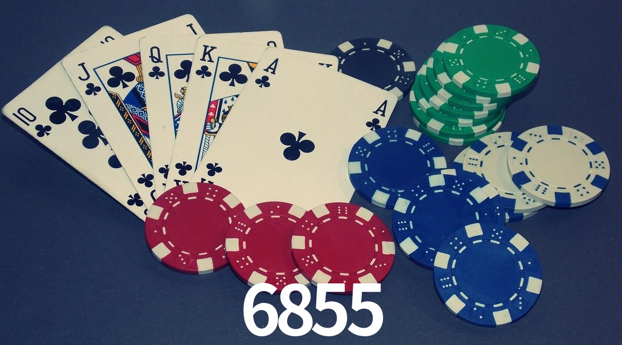Experiência VIP 6855
